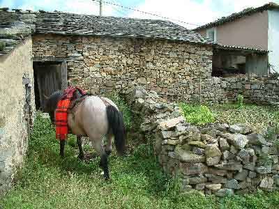 los vaqueiros de alzada, vaqueiros,boda,aristebano,los vaqueiros de alzada,boda,aristebano, vaqueiros de alzada,aristebano